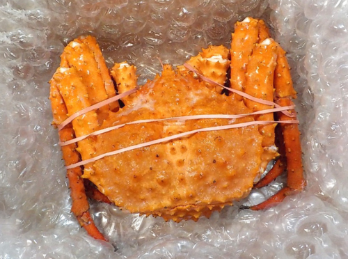 whole cooked Golden King crab from Keyport LLC